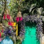 WhatsApp Image 2025-03-18 at 2.03.33 PM (1)