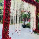 WhatsApp Image 2025-03-18 at 2.03.34 PM