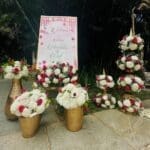 WhatsApp Image 2025-03-18 at 2.03.36 PM (1)