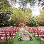 WhatsApp Image 2025-03-18 at 2.03.36 PM