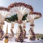 WhatsApp Image 2025-03-18 at 2.08.28 PM