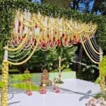 WhatsApp Image 2025-03-18 at 2.08.29 PM