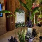 WhatsApp Image 2025-03-18 at 2.08.30 PM (2)